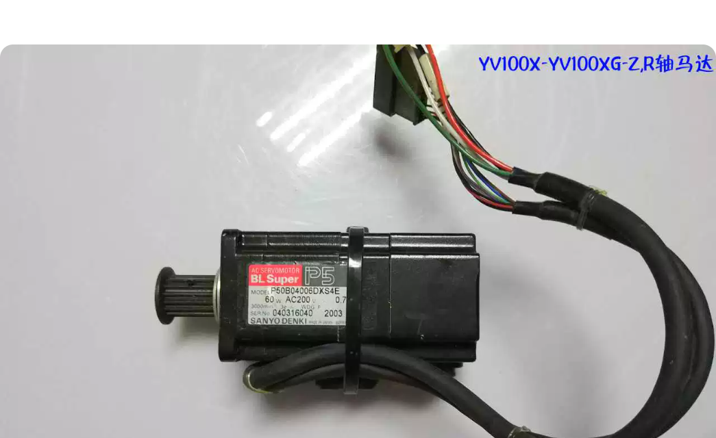Yamaha P50B04006DXS4E Motor